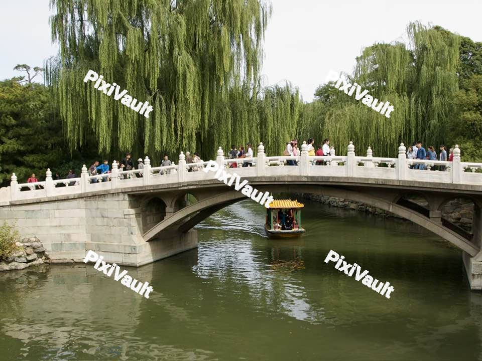 Chinese Bridge